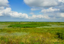 Цепь древних Алитубских курганов на ерике Подпольном.