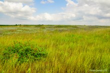 Цепь древних Алитубских курганов на ерике Подпольном.