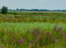 Цепь древних Алитубских курганов на ерике Подпольном.