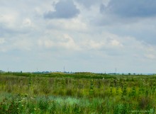 Цепь древних Алитубских курганов на ерике Подпольном.