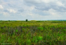 Цепь древних Алитубских курганов на ерике Подпольном.