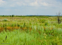 Цепь древних Алитубских курганов на ерике Подпольном.