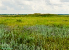 Цепь древних Алитубских курганов на ерике Подпольном.