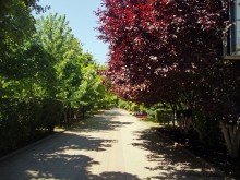 Прогулка во времени по улице Пушкинской