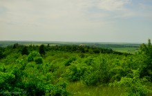 Прогулка в Бородиновском лесу у скал на Северском Донце