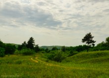Прогулка в Бородиновском лесу у скал на Северском Донце