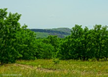 Прогулка в Бородиновском лесу у скал на Северском Донце