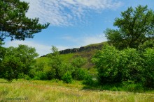 Прогулка в Бородиновском лесу у скал на Северском Донце