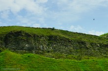 Прогулка в Бородиновском лесу у скал на Северском Донце