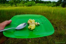 Прогулка в Бородиновском лесу у скал на Северском Донце