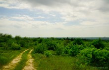 Прогулка в Бородиновском лесу у скал на Северском Донце