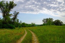 Прогулка в Бородиновском лесу у скал на Северском Донце