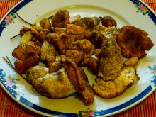 Прогулка в Бородиновском лесу у скал на Северском Донце