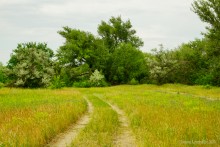Прогулка в Бородиновском лесу у скал на Северском Донце