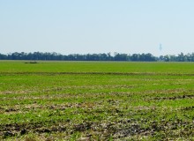 Сборные железобетонные огневые точки на рубежах западнее и севернее Ростова