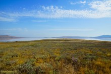 Постоялый двор на чумацком тракте в хуторе Аникин