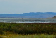 Постоялый двор на чумацком тракте в хуторе Аникин