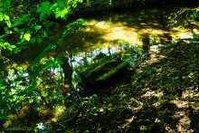 Постоялый двор на чумацком тракте в хуторе Аникин