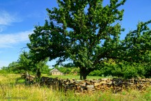 Постоялый двор на чумацком тракте в хуторе Аникин