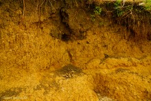 Исторический берег между селами Маргаритово и Новомаргаритово