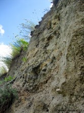 Кобяково городище под Аксаем