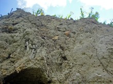 Кобяково городище под Аксаем