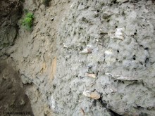 Кобяково городище под Аксаем