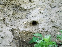 Кобяково городище под Аксаем