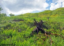 Кобяково городище под Аксаем