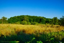 Музей Петра Анатольевича Солдатова в х. Грязновском