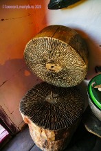 Музей Петра Анатольевича Солдатова в х. Грязновском