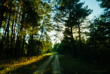 Музей Петра Анатольевича Солдатова в х. Грязновском