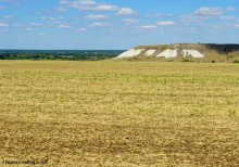 Меловые холмы южнее Мигулинской