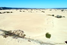 Быковские буруны на реке Песковатка