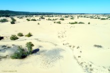 Быковские буруны на реке Песковатка