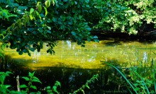 Быковские буруны на реке Песковатка