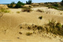 Быковские буруны на реке Песковатка