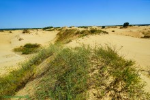 Быковские буруны на реке Песковатка