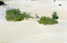 Быковские буруны на реке Песковатка