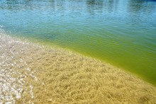 Путешествие к устью реки Песковатки, притока Дона