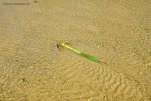 Путешествие к устью реки Песковатки, притока Дона