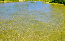 Путешествие к устью реки Песковатки, притока Дона