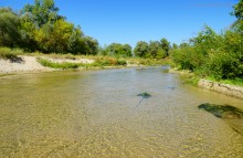 Путешествие к устью реки Песковатки, притока Дона