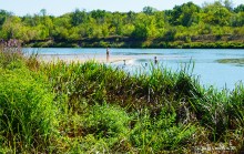 Путешествие к устью реки Песковатки, притока Дона