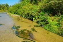 Путешествие к устью реки Песковатки, притока Дона
