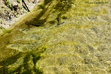 Путешествие к устью реки Песковатки, притока Дона