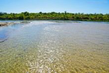 Путешествие к устью реки Песковатки, притока Дона