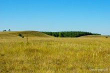 Ландшафты Шолоховского района