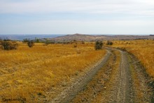 Памятник природы Черная балка