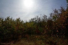 Памятник природы Черная балка